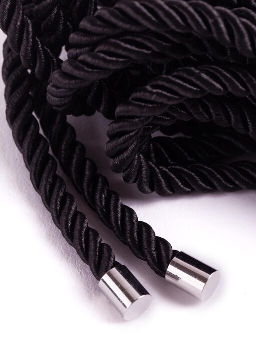 Dominant Set Dominant Set