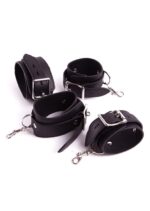 Positioned for Pleasure Set