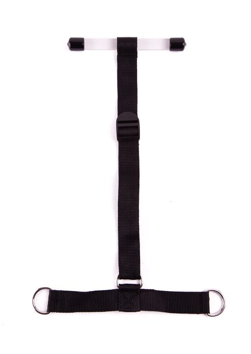 Positioned for Pleasure Set Positioned for Pleasure Set