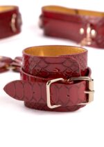 Python Thigh To Wrist Restraint