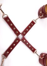Python Thigh To Wrist Restraint