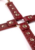 Python Thigh To Wrist Restraint